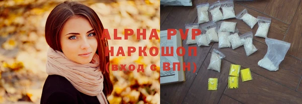 тгк Горно-Алтайск