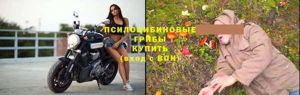 spice Горняк